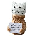 Positive Crochet Animals Cat – “You are Pawsome” Valentines Day Gifts for Him Her Boyfriend Girlfriend Women Teens, Emotional Support &amp; Cheer Up Present, Teacher Appreciation, Birthday Gift