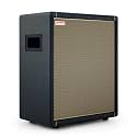 Positive Grid Spark CAB Powered FRFR Speaker Cabinet for Amps &amp; Modelers