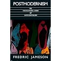 Postmodernism, or, The Cultural Logic of Late Capitalism (Post-Contemporary Interventions)