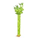 Pot39s amp Plant39s Spiral Lucky Bamboo Plant