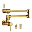 Pot Filler Faucet, Wall Mount Pot Filler for Kitchen Sink, Solid Brass Heavy Duty Folding Stove Faucet 2 Handles with Double Joint Swing Arms, Brushed Gold