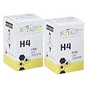 Potauto H4 Standard Halogen Headlight Bulb for Car &amp; Motorbikes with 12V 100/90W, P43T | Pack of 2