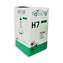 Potauto H7 CRYSTAL WHITE Head Light Halogen Bulb For Car, 12V 100W - PX26d | 4300k | Pack of 10