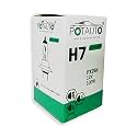 Potauto H7 CRYSTAL WHITE Head Light Halogen Bulb For Car, 12V 100W - PX26d | 4300K | Single Piece