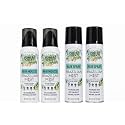 Power Stick Forte Brazilian Mist Hair Spray and Hair Mousse Set, Pistachio and Salted Caramel Scent, Volumizing Hold, 4 Pack (2 Sprays, 2 Mousses)