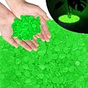 PoYang 2000pcs Glow in The Dark Rocks Outdoor Decor, Green, 2.4 lbs/Bag