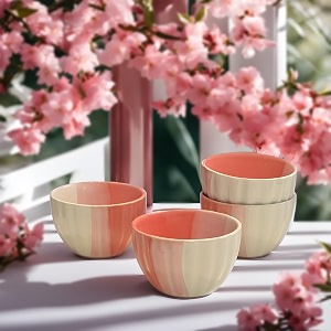 praahi lifestyle ceramic handmade bowl katoris set  shades of pink  set of 4 ceramic katoris  45 inches dia microwave amp dishwasher safe best for gift