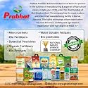 Prabhat Ferrous Sulphate Fertilizer (19%) 100% Water Soluble Fertilizer Powder for Plants, Home, Garden - Khad For Plant - Micronutrients Fertilizer - 5 kg - (ITEM CODE : ECPAPL0131)