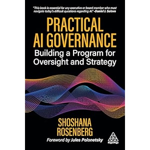 practical ai governance building a program for strategy and oversight
