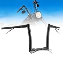 Pre-wired 12" Ape Bars for 14-22 Sportster, 12-17 Dyna Softail