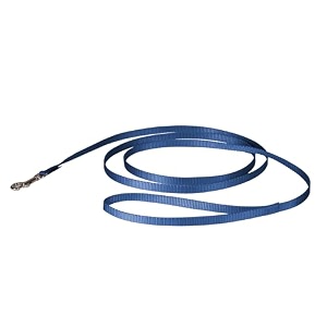 premier leash 38 by 6-feet royal blue