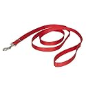 Premier Pet Leash 3/4-Inch by 6-Feet Red