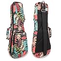 Premium 21" Ukulele Case, 10mm Back Panel Padded,Adjustable Strap,Durable Pocket Bag for Soprano - Red Leave