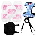 Premium Adjustable Chicken Harness with Camouflage Design &amp; Comfortable Breathable Fabric - Includes Resilient 5.4ft Matching Leash for Secure Outing (Medium Camouflage Blue)