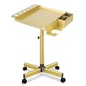 Salon Señor Gold Salon Rolling Tray Hair Extension Tray Cart