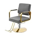 Premium Barber Salon Chair, Heavy-Duty 440lbs Capacity, 360° Swivel & Height Adjustable, Ergonomic Design with High-Resilience Sponge, Modern Style for Home & Professional Use (Grey + Gold)
