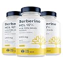 Premium Berberine Supplement with Milk Thistle – Pack of 3 (180 capsules)