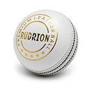 Premium Leather Cricket Ball Hand Stitched