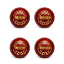 Premium Leather Cricket Ball Hand Stitched