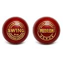 Premium Leather Cricket Ball Hand Stitched