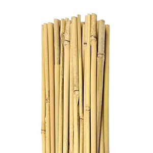 premium natural plant support bamboo sticks for straightening training and supporting plants strong and durable solution for healthy growth 4 ft 20 pieces