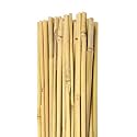 Premium Natural Plant Support Bamboo Sticks, for Straightening, Training and Supporting Plants, Strong and Durable Solution for Healthy Growth (4 ft, 20 Pieces)
