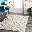 Presence Gorgeous Design of Super Soft Shaggy