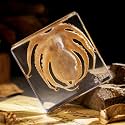 Preserved Octopus Specimen in Resin – Real Taxidermy Octopus Block for Science, Marine Biology, & Oddity Collectors (3" x 3" x 1") – Unique Desk Decor, Classroom Tool, and Gothic Gift