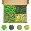 Preserved Reindeer Moss, 14 oz 4 Colors Moss for Crafts