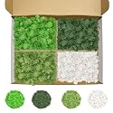 Preserved Reindeer Moss, 14 oz 4 Colors Moss for Crafts
