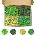 Preserved Reindeer Moss, 14 oz 4 Colors Moss for Crafts