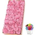 Preserved Reindeer Moss, 17.6 oz Pink Moss for Crafts