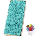 Preserved Reindeer Moss, 17.6 oz Blue Moss for Crafts