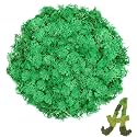 Preserved Reindeer Moss, 3.5 oz Emerald Green Moss for Crafts