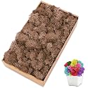 Preserved Reindeer Moss, 7 oz Brown Moss for Crafts