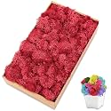 Preserved Reindeer Moss, 7 oz Red Moss for Crafts