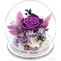Preserved Rose Gifts for Women, Forever Flowers Butterfly Real Roses, Birthday Eternal Flower Gift for Mom Wife Her Grandma Girlfriend on Anniversary Mothers Day Christmas Valentines (Purple1)