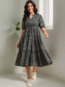 Presha Women Fit and Flare Multicolor Below Knee Dress