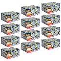 PrettyKrafts Saree Cover Large with Creative Prints, Saree Storage Bag with Zip, Wardrobe Organiser, Clothes Cover & Storage, Trio Blue, Set of 12 pcs