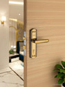 PRIGMA Iron Polished Handlesets