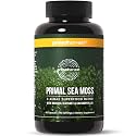Primal Harvest Sea Moss – Daily Vegan Supplement, Dairy & Soy Free