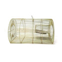 Prime Creation Rat Trap Cage,Mouse and Rat Catcher Cage Snap Trap
