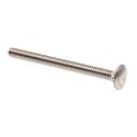 Prime-Line 9062433 Carriage Bolts, 1/4 In.-20 X 3 In., Grade 18-8 Stainless Steel (50 Pack)