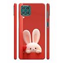 Printed Hard Back Case Cover amp Compatible