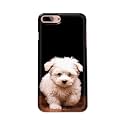 Printed Hard Back Cover Case for Apple