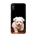 Printed Hard Back Cover Case for Apple