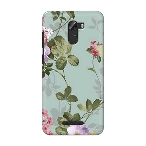 Printed Hard Back Cover Case for Gionee