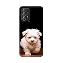 Printed Hard Back Cover Case for Samsung