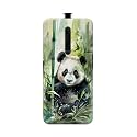 Printed Hard Back Cover for Oppo Reno2
