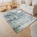 Printed Rug Soft Floor Carpets with Anti